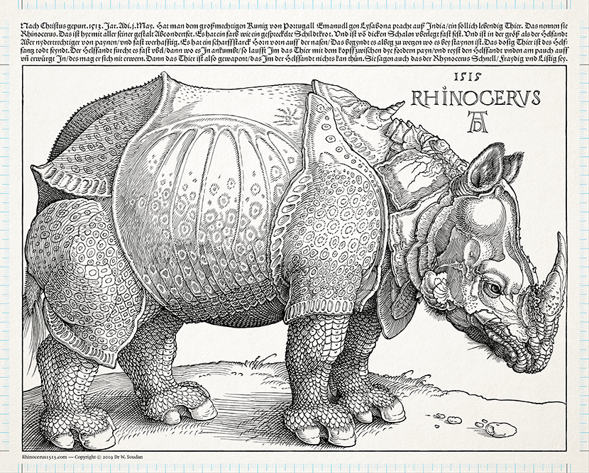Albrecht Dürer’s Rhinocerus from 1515. Visualization of the advanced image analysis procedures that were involved in the digital reconstruction.